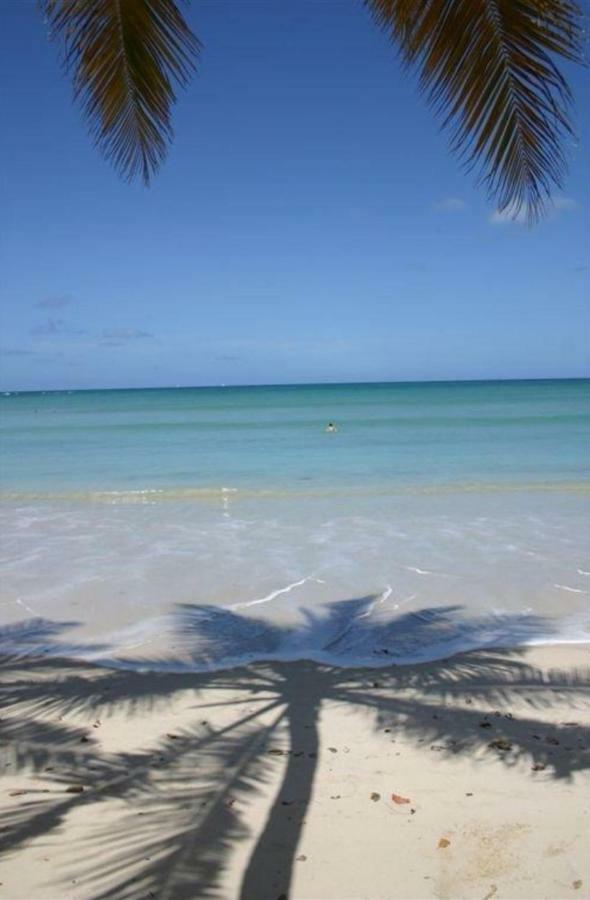 L'Hibiscus Piscine Et Plage Sainte-Luce Luaran gambar